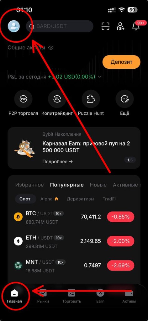 Home → profile in Bybit