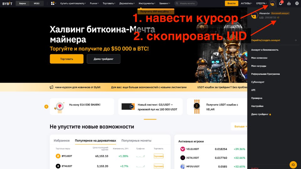 Where to find your UID in the Bybit web version